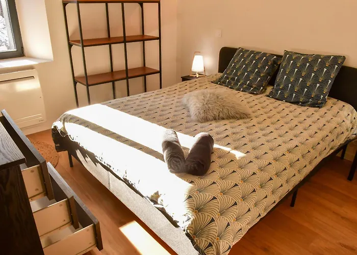 Du Parc Le Sapin Tatil Evi